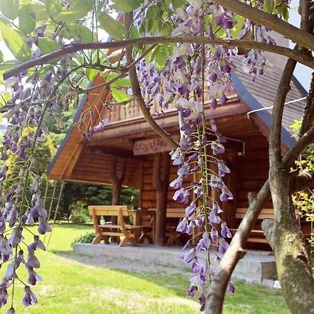 Villa U Leona Gorlice Exterior foto