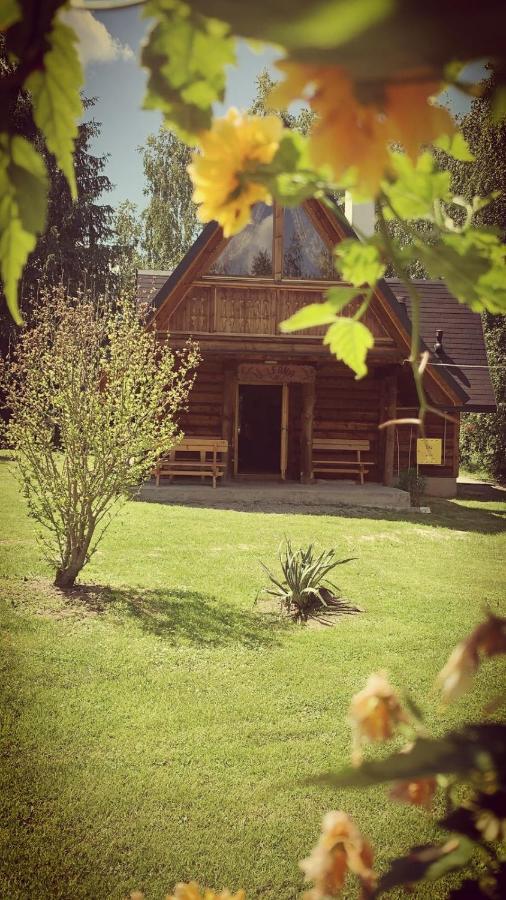 Villa U Leona Gorlice Exterior foto